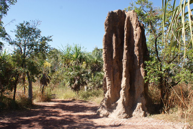 The Termite Mounds Tours