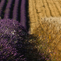 I colori dell'estate di 