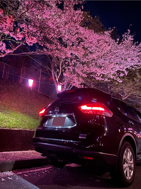エクストレイルの夜桜・夜桜と愛車・ドライブ・撮影姿😂に関するカスタム事例の投稿画像1枚目