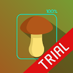 Cover Image of Descargar Mushroom Identifier - detection and classification  APK