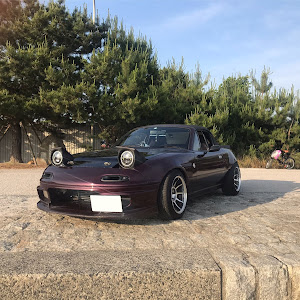 ロードスター NA6CE