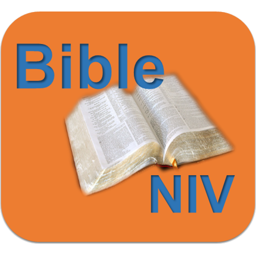 Holy Bible NIV