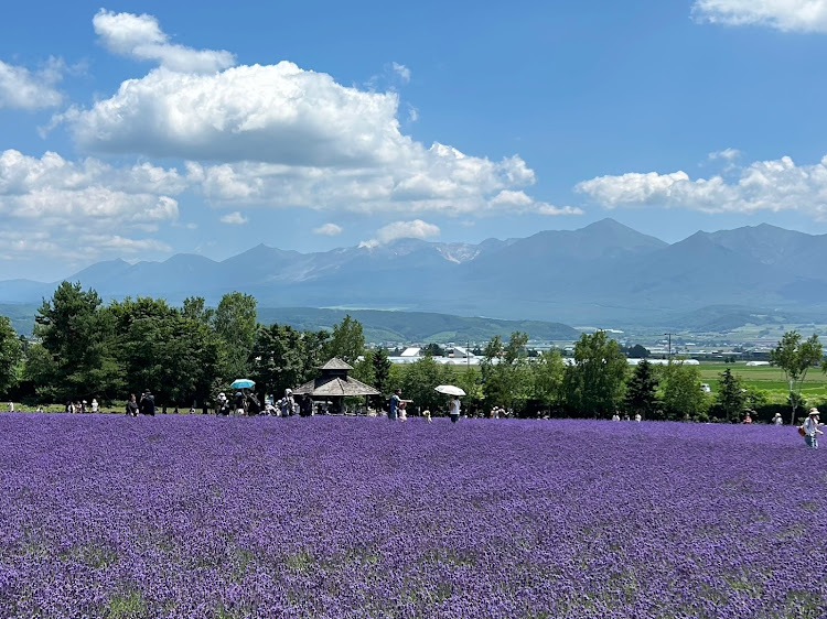 シビック(欧州HB)の北海道・富田ファーム・四季彩の丘・富良野チーズ工房・フラノデリスに関するカスタム事例の投稿画像4枚目