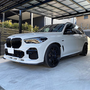 X5 xDrive 45e