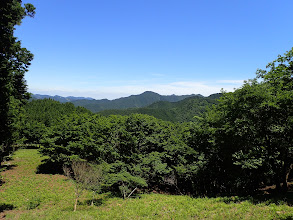 唐突に草原が現れる