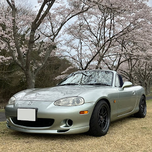 ロードスター NB6C