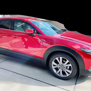 CX-30 DM8P