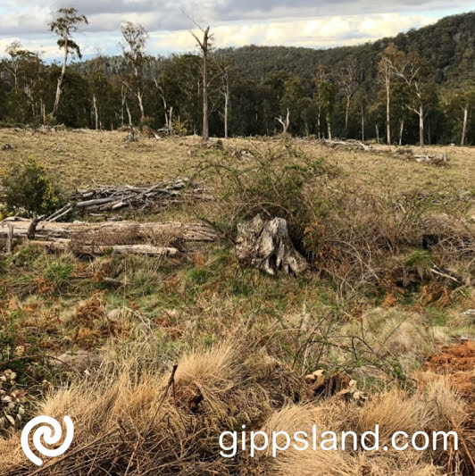 Thousands of animals and plants could become extinct in Victoria thanks to climate change, invasive species and habitat loss, plants and ecological communities are also listed as threatened in Victoria