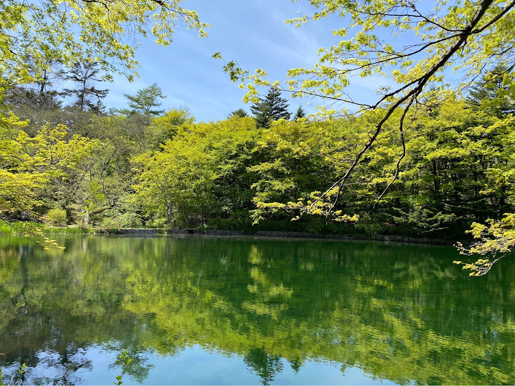 カムリのGW・セダン好きと繋がりたい・70カムリ・軽井沢・長野県に関するカスタム事例の投稿画像6枚目