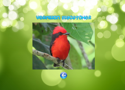 birds sounds Screenshots 1