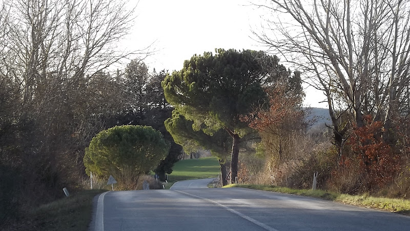 Direzione Buonconvento di Alexbarbi