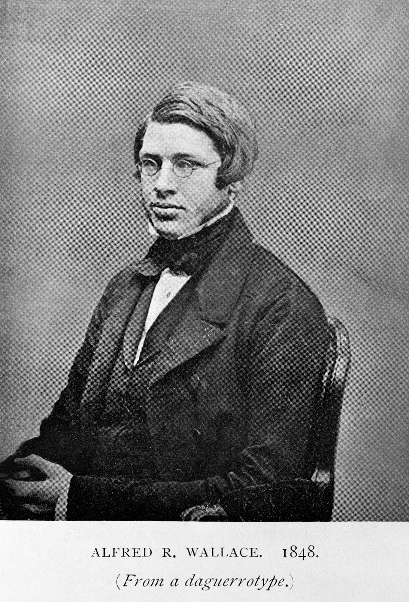 Alfred Russel Wallace In 1848 Google Arts Culture