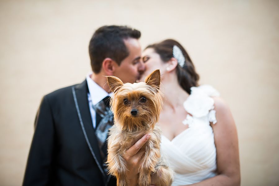 Wedding photographer Nacho Bueno (nachobueno). Photo of 22 January 2016