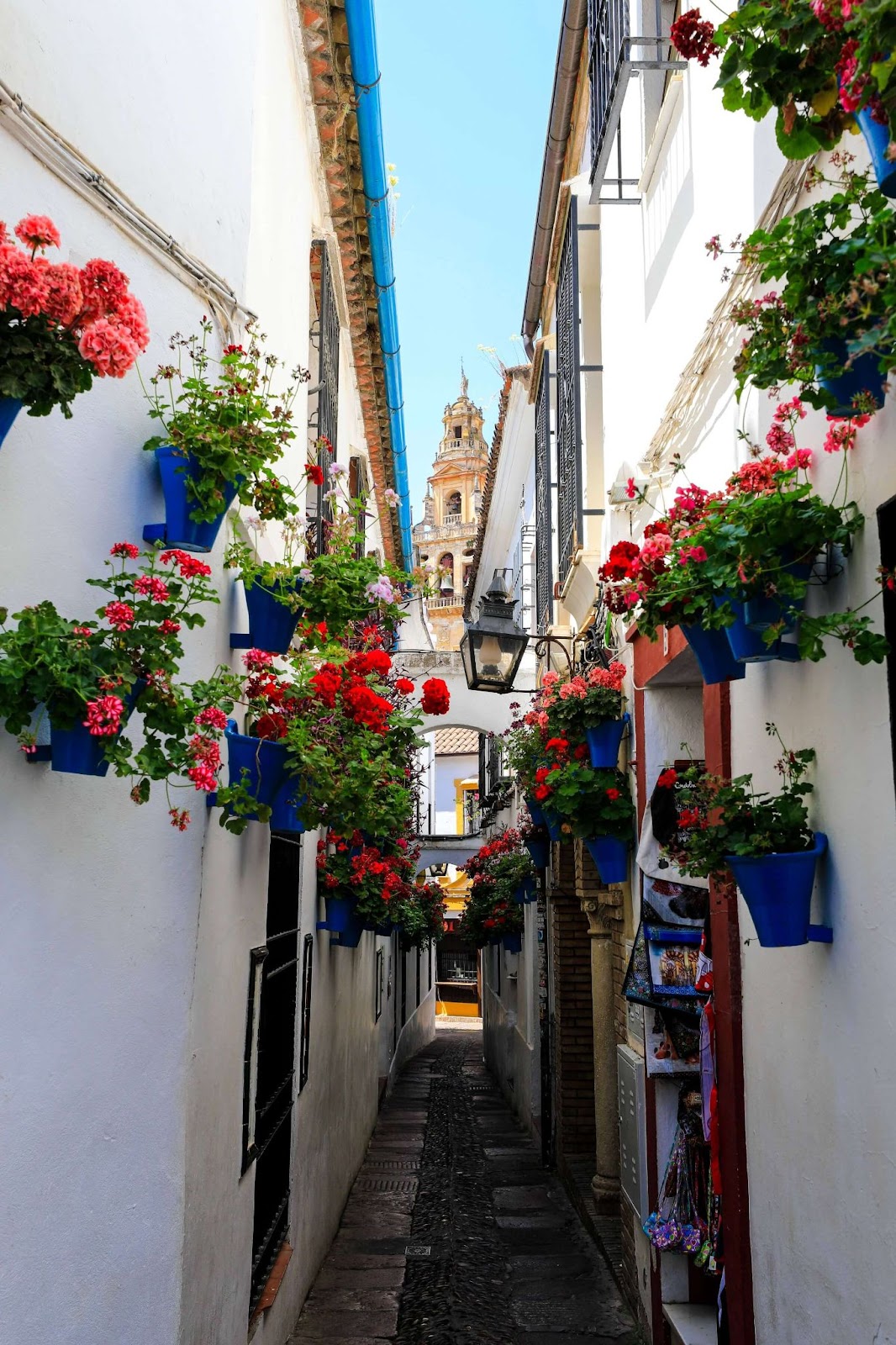 1 day in Cordoba, Callejas de las Flores, Alley of the Flowers, Cordoba Spain 