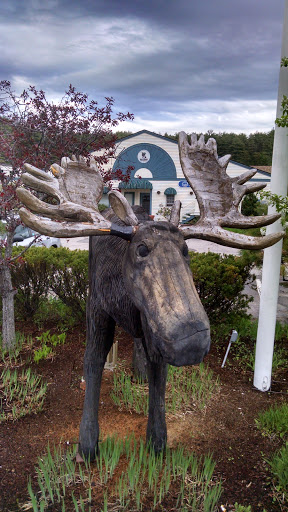 Clark Plaza Moose and Memorial Flagpole