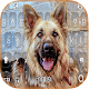 German Shepherd gold keyboard Download on Windows