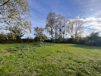 terrain à Saint-Amand-en-Puisaye (58)