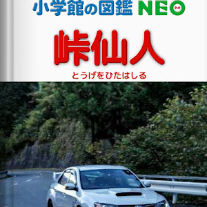 インプレッサ WRX STI GVF