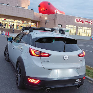 CX-3 DK5FW