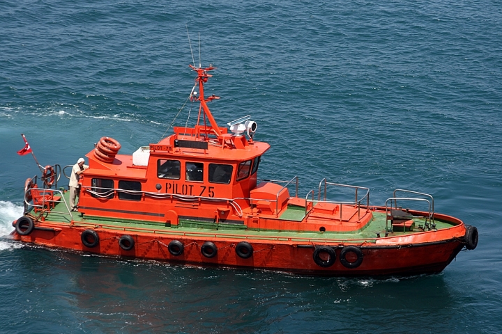 IL 75 IN AZIONE di rafiki