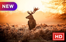 Elk New Tab Animals HD Wallpapers Themes small promo image