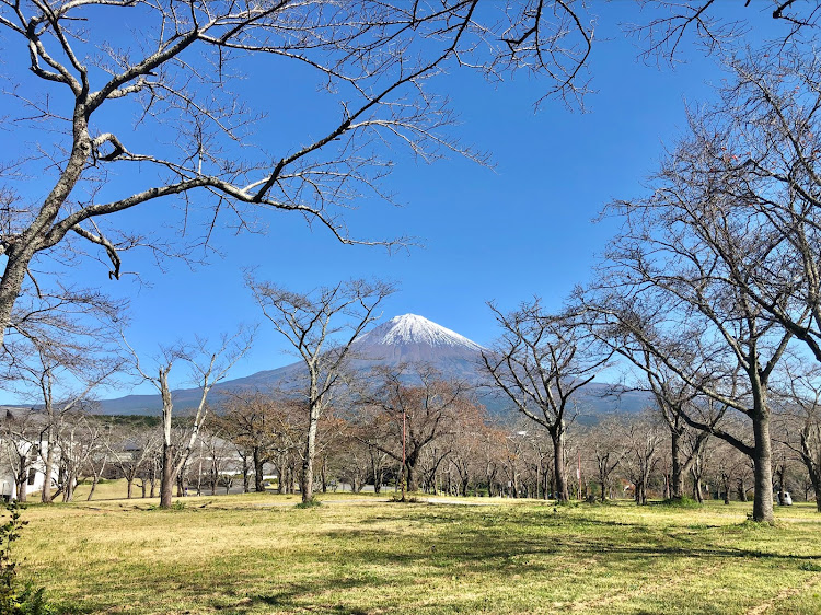 の投稿画像2枚目