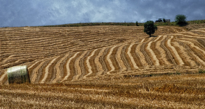 Dopo la mietuitura di Fiorenza Aldo Photo