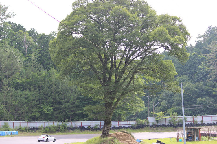 クラウンセダンの道の駅スタンプラリー・本宮山スカイライン・MR2オフ会・私を道の駅へ連れてって・エバラスに関するカスタム事例の投稿画像8枚目