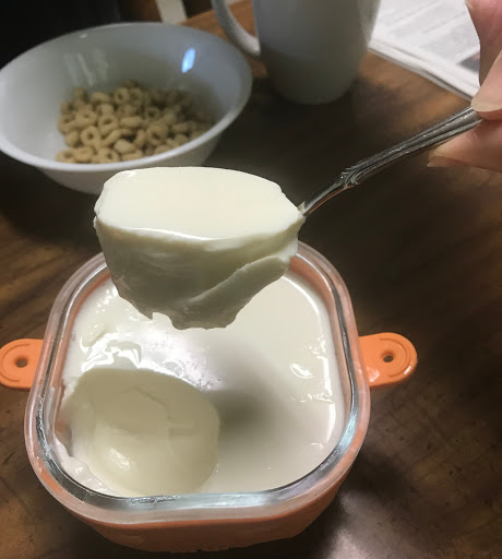 Scoop of set yogurt ready to go on my cereal