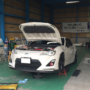86 ZN6