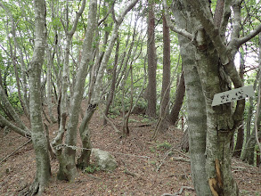 尾根に合流