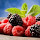 Berries New Tab Fruit Theme