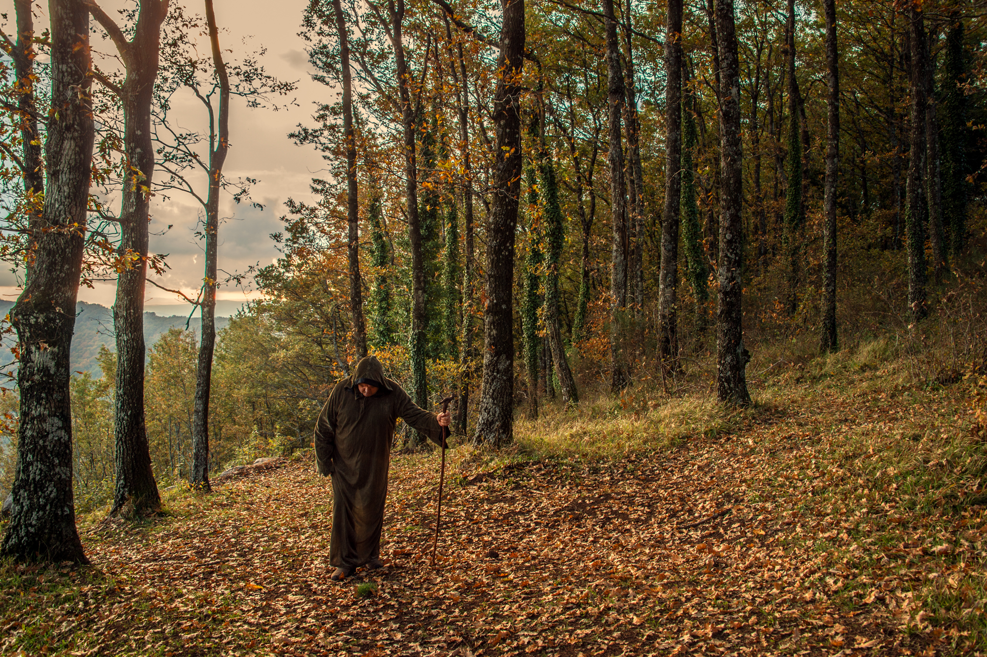 L'autunno avanza... di si