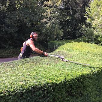 Hedge Trimming album cover