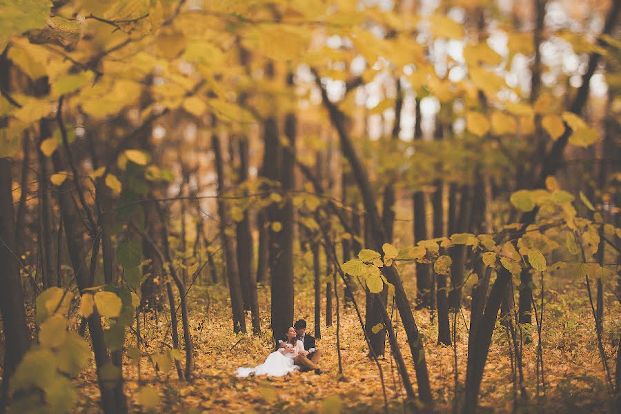 Fotografo di matrimoni Serezha Bormatov (serezhabormatov). Foto del 20 novembre 2013