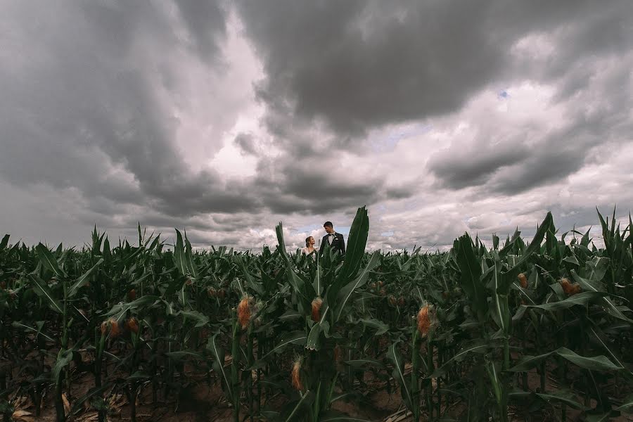 Fotograful de nuntă Oleg Nemchenko (olegnemchenko). Fotografia din 4 august 2020