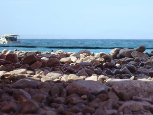 Chissà  quanti saranno..?! di CheccoPace