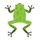 Jumping Hoppy Frog 1.0.3