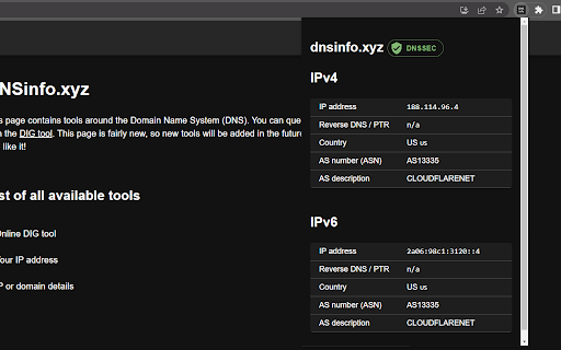DNSinfo.xyz Extension