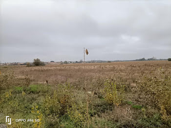 terrain à Lamasquère (31)