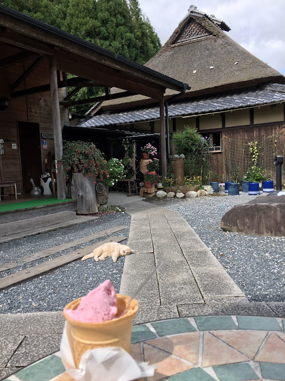 コペンのドライブに関するカスタム事例の投稿画像4枚目