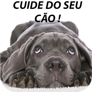 Download Cuidados com o Cão For PC Windows and Mac