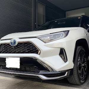 RAV4 AXAP54