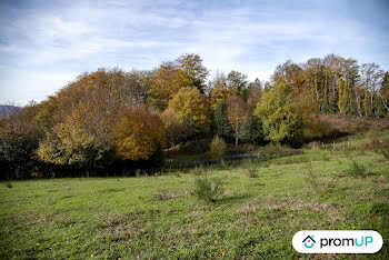 terrain à Rouairoux (81)