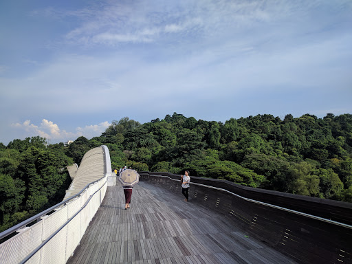 bridge