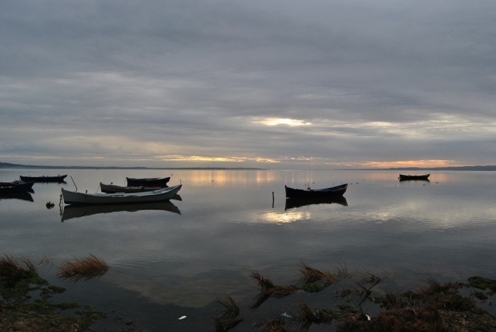 Mare al cielo. di francescap