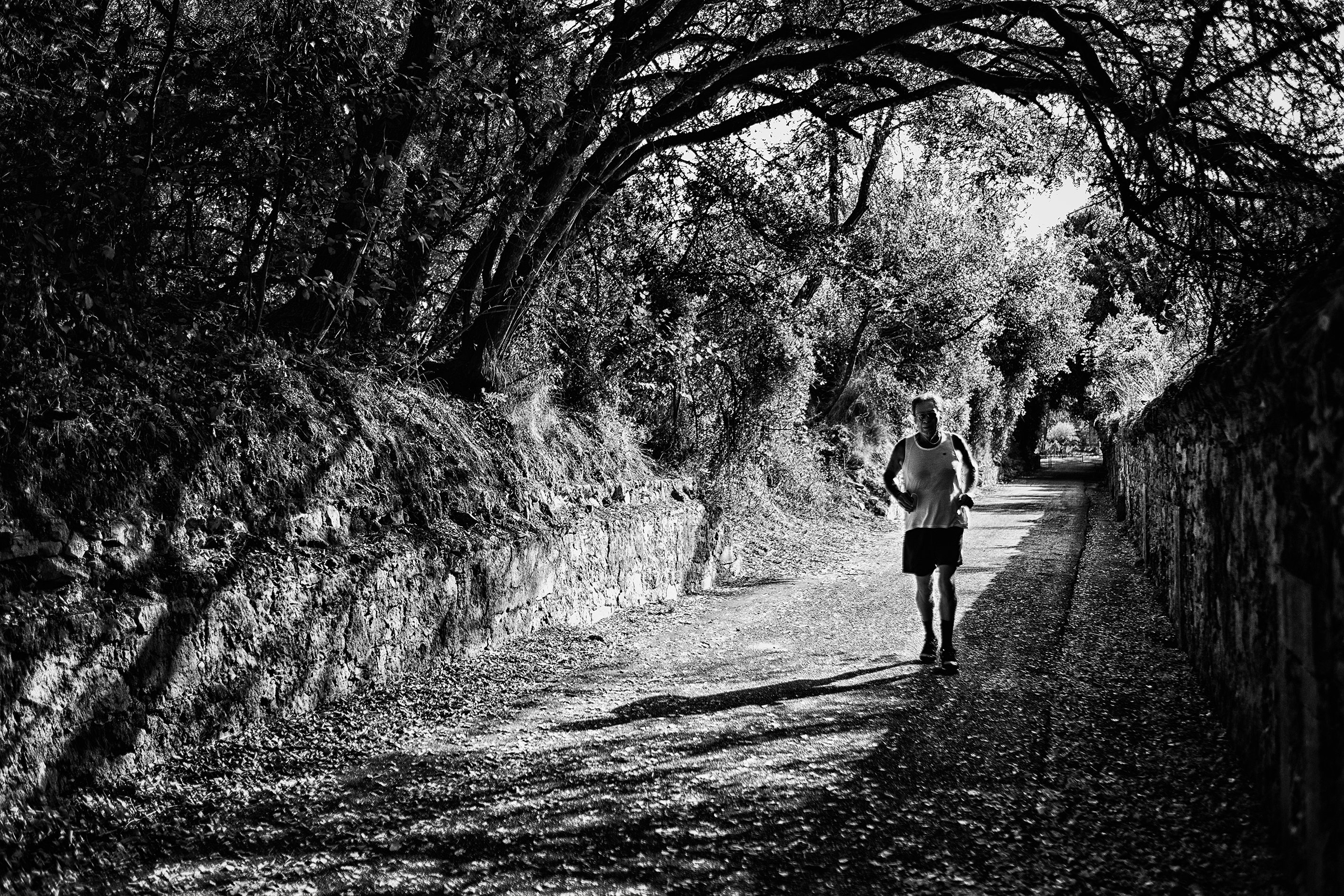 Nel tubo di alberi di Valeria__