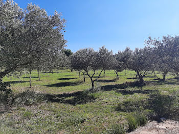 terrain à Pierrefeu-du-Var (83)