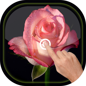 Magic Touch - Rose LWP  Icon