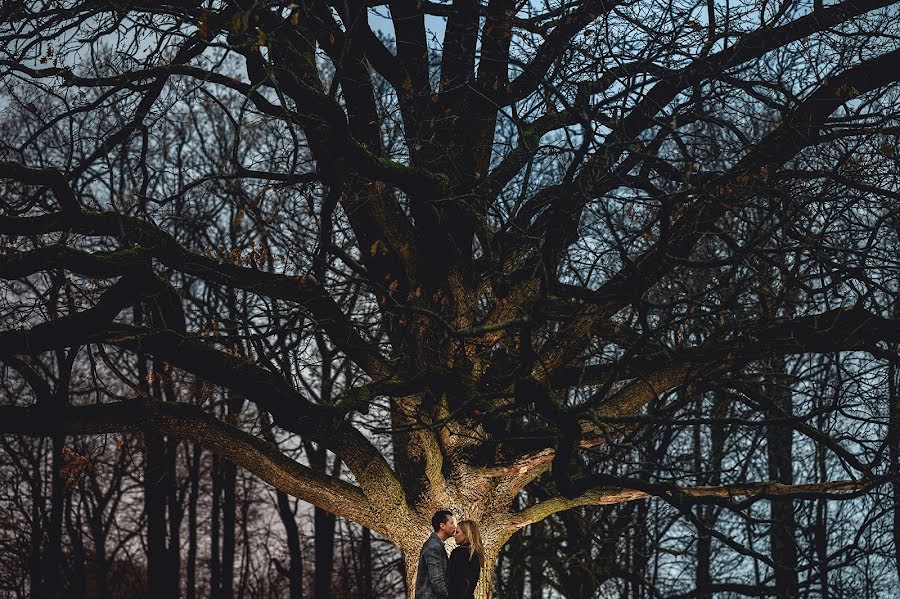 Fotógrafo de casamento Tudor Bolnavu (tudorbolnavu). Foto de 5 de janeiro 2021